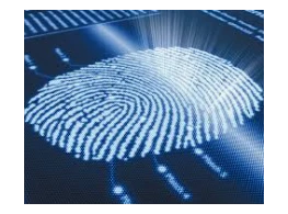 تقنيات وتطبيقات البصمة الوراثية في القضايا الجنائية