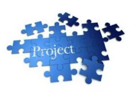 Project Management for Non Project Professionals